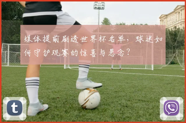 媒体提前剧透世界杯名单，球迷如何守护观赛的惊喜与悬念？