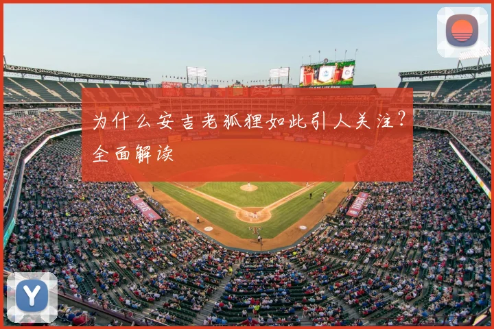 为什么安吉老狐狸如此引人关注？全面解读